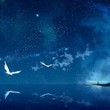 五四的火星人